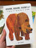 【新華正版】幼兒園入園必備繪本 清華附小學(xué)校推 薦一二年級必讀課外閱讀書(shū)繪本書(shū)目 棕色的熊棕色的熊你在看什么繪本 曬單實(shí)拍圖