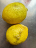 京愿 四川安岳黄柠檬  新鲜柠檬鲜果新鲜水果生鲜当季皮薄多汁大果 5斤 大果 实拍图