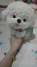 藍詩(shī)諾仿真比熊犬毛絨玩具茶杯犬Q版可愛(ài)狗狗公仔抱枕娃娃玩偶生日禮物 比熊白色-站 25厘米 曬單實(shí)拍圖