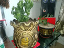 多肉植物玉麒麟盆栽花卉|仙人掌麒麟掌龍骨花室內(nèi)花 植物盆栽 玉麒麟特大號(hào)30-40厘米(寬) 不含盆 曬單實(shí)拍圖