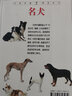 自然珍藏圖鑒叢書(shū):名犬 曬單實(shí)拍圖