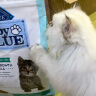 蓝馔（BLUE BUFFALO）幼猫粮奶糕幼猫专用鸡肉配方营养无谷猫粮1到12月增肥促发育 4.5磅/2kg【效期至24年11月】 实拍图