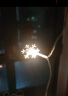 TaTanice 雪花灯串3米20灯 led彩灯生日派对装饰雪花灯求婚表白气氛灯 实拍图