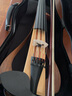雅馬哈（YAMAHA）新款電子小提琴YEV104_105Pro靜音_電聲四弦五弦專(zhuān)業(yè)演出表演提琴 YEV105木色+大禮包 曬單實(shí)拍圖