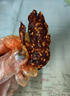 小休夢(mèng)甜辣龍頭魚(yú)干蜜汁香辣魚(yú)  袋裝廣西特產(chǎn)即食零食特產(chǎn) 香辣龍頭魚(yú)500g 實(shí)惠袋裝 曬單實(shí)拍圖
