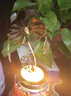Voluspa美國香薰蠟燭臥室助眠禮盒新婚小浮雕伴手禮生日禮物女生閨蜜結婚 梅花紅醋栗 曬單實拍圖