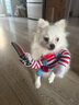 寵物衣服秋冬比熊法斗狗狗貓咪搞怪柴犬柯基泰迪搞笑網(wǎng)紅拿刀裝 拿刀娃娃變身裝 L碼【適合31-50斤】 曬單實(shí)拍圖