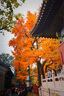 卡色（Kase）金剛狼磁吸濾鏡套裝 82mm KW CPL偏振鏡+ ND1000減光鏡+GND0.9漸變灰鏡送濾鏡收納包 專(zhuān)業(yè)套裝 曬單實(shí)拍圖