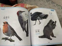 認(rèn)物大全 兒童早教啟蒙書 兒童繪本 嬰幼兒啟蒙認(rèn)知早教書 0到3歲2歲寶寶益智書籍 一歲半寶寶看的書 圖書書本識字卡片兩三歲看圖識物 【全3冊】認(rèn)物大全+拼音+識字 曬單實(shí)拍圖