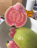廣西特產(chǎn)紅心芭樂番石榴應(yīng)季整箱潘石榴新鮮孕婦水果 3斤 曬單實(shí)拍圖