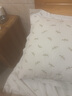 雅鹿A類純棉枕套+枕芯一對枕頭家用加厚全棉純色清新枕頭套單人枕芯套 貼標(biāo)-賓利藍+奶茶 枕套一只+枕芯一只 曬單實拍圖