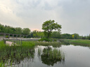 CEP運(yùn)動(dòng)帽防曬空頂帽遮陽(yáng)帽跑步棒球網(wǎng)球帽輕薄透氣導(dǎo)汗鴨舌帽太陽(yáng)帽 可調(diào)節(jié) 純潔白 均碼 曬單實(shí)拍圖