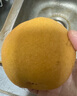 京覓碭山青皮蜜梨 凈重4.5斤 7-9個 單果250g+ 皇冠梨禮盒 源頭直發(fā) 曬單實拍圖