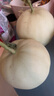 蔬農(nóng)聯(lián)（SHUNONGLIAN）山東新鮮玉菇甜瓜 時令新鮮水果 冰淇淋香瓜 帶箱10斤大果單果450g起 曬單實(shí)拍圖