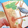 兒童繪本3-6歲幼兒園老師推薦閱讀幼兒園精裝硬殼硬皮繪本無(wú)拼音適合小班中班大班閱讀的a4幼兒繪本3-4-5–6-8歲故事書(shū)寶寶硬殼硬皮繪本幼兒故事繪本2-4-5-6歲 神奇的小種子等 硬殼繪本 努力奔 曬單實(shí)拍圖
