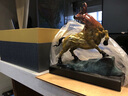 莫尼森  MOREISAN 黃銅牛擺件工藝品扭轉(zhuǎn)乾坤生肖?？蛷d辦公室裝飾品喬遷開業(yè)禮品 鴻運當(dāng)頭 曬單實拍圖