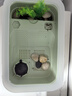 森森（SUNSUN）養(yǎng)烏龜專用缸家用龜缸烏龜飼養(yǎng)缸小烏龜專用缸爬臺(tái)曬臺(tái)烏龜缸 【龜便分離】38cm長綠色 單缸 曬單實(shí)拍圖
