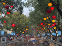 埃及電話(huà)卡4G高速流量手機上網(wǎng)卡開(kāi)羅阿斯旺盧克索旅游卡 可充值 5天（總量3GB后限速） 曬單實(shí)拍圖