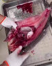 甄樽全自動殺魚機商用大型開肚開背去鱗宰魚機黑魚羅非魚鰱魚殺魚機開背機魚片機菜市場酒店 殺魚機預付款 曬單實拍圖