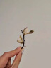 迪后（Dirholl）品牌和田玉蘭花胸針高檔女西服大衣配飾七夕情人節生日禮物送女友 和田玉玉蘭花胸針【精美禮盒】 曬單實(shí)拍圖
