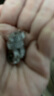 伊黛兒觸角閃鉆發(fā)扣女金屬銀色圓形個性編發(fā)劉海發(fā)夾發(fā)卡頭飾 F3199銀色發(fā)扣一對 曬單實拍圖