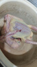 鮮江道乳鴿 獨立裝 冷凍鹵烤鴿子肉煲湯食材 老鴿子肉新鮮現殺家養土鴿 1只散養富硒乳鴿凈重 400g 曬單實(shí)拍圖