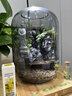 丘辰苔蘚微景觀生態(tài)瓶diy辦公室內(nèi)桌面綠植盆栽臥室植物盆景擺件禮物 （上岸景觀+苔蘚+燈底座+噴壺） 曬單實拍圖