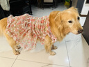 OEMG寵物狗狗衣服春夏新款可愛中大型犬服裝寵物服裝公主風碎花公主裙 花緋瑰語 4XL胸65背50約20-26斤左右 曬單實拍圖