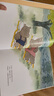 午睡時(shí)間 十一只貓作家馬場(chǎng)登作品 蒲蒲蘭繪本館 曬單實(shí)拍圖