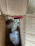 櫻霞【順豐上門】吉利紅如意皇后竹芋水培吉祥花室內觀葉植物盆栽綠植 吉利紅水培+自吸水盆 曬單實拍圖
