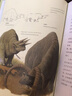 后浪官方正版 人類滅絕之后 未來世界動物圖鑒 動物學 科學幻想 未來世界書籍 曬單實拍圖