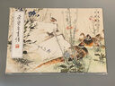 榮寶齋畫譜237-王雪濤繪花卉部分 曬單實拍圖