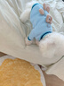 嬉皮狗（hipidog）狗狗立體小熊衛(wèi)衣狗狗衣服春秋款牽引繩泰迪雪納瑞小型犬可愛衣服 邦迪藍小熊 S（建議3-5斤） 曬單實拍圖