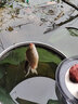 龍王恨魚(yú)餌野戰藍鯽速攻九一八餌料拉絲粉老三樣大野戰腥香鯽魚(yú)餌料配方 鯽鯉草青通殺+高品拉絲粉 曬單實(shí)拍圖