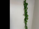 盛世泰堡 仿真葡萄藤叶子塑料花藤绿植吊顶藤蔓空调管道客厅装饰66叶2条装 实拍图