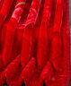 南极人（NanJiren）毛毯被子加厚盖毯双层单人宿舍毛毯被秋冬绒毯子双人加大拉舍尔毯 653大红，玫瑰情深  150X200cm-约5斤 实拍图