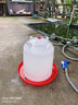 小雞飲水器雞水壺雞鴨鵝喂水器自動(dòng)加厚雞水槽喂雞神器鴿子水壺 15公斤特厚水壺 曬單實(shí)拍圖