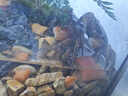 爬將軍爬將軍魚缸造景砂彩石白沙夜光石頭鋪底鵝卵石水族箱龜缸裝飾底沙 木紋石【5斤裝/袋】不渾水 不掉色 曬單實(shí)拍圖
