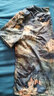 蘭威費(fèi)雷夏裝新款女哈倫褲套裝中老年媽媽兩件套 兩裝 3XL 145-160斤 曬單實(shí)拍圖