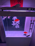 森森（SUNSUN）超白玻璃魚缸客廳大型底過濾生態(tài)水族箱家用龍魚缸 靠墻超白 抽屜滴濾0.6米長35寬（三色可選） 曬單實(shí)拍圖