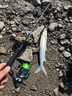 SHIMANO 禧瑪諾 新款 LUNAMIS露娜米斯遠(yuǎn)投路亞竿海鱸翹嘴鳡魚進(jìn)口魚竿 2.29米 S76M 直柄中調(diào) 曬單實(shí)拍圖
