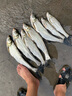 君拓路亞餌水蛭遠(yuǎn)投亮片餌白條馬口亮片鱸魚翹嘴餌路亞亮片假餌套裝 套餐四【15克遠(yuǎn)投款】五枚裝 曬單實(shí)拍圖