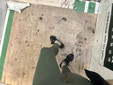 Keep瑜伽褲健身運動(dòng)褲長(cháng)褲緊身褲女 高彈萊卡細腰翹臀塑形速干跑步 涼感/茶青綠 M 曬單實(shí)拍圖
