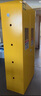華盼氣瓶柜防爆安全柜氫氣氧氣乙炔雙瓶氣體報警柜液化氣煤氣罐存放柜 黃色雙瓶二代報警 曬單實(shí)拍圖