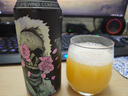 安克雷奇美國進(jìn)口啤酒 龍珠 我們的內(nèi)在雙倍渾濁IPA精釀啤酒 6口味渾濁IPA組合 473mL 6罐 曬單實(shí)拍圖
