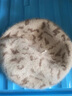COYOJOR希遙家春秋羊毛貝雷帽女英倫顯臉小復(fù)古大頭圍毛呢帽子休閑百搭送禮禮盒 米色 均碼(54-60cm) 曬單實拍圖