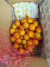 味小仙廣西桂林脆皮金桔 滑皮小金桔陽(yáng)朔特產(chǎn)黃青皮甜金橘新鮮水果 3斤（中果）【1斤30-35顆】 曬單實(shí)拍圖