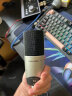森海塞尔（SENNHEISER） MK4大振膜专业录音师K歌话筒电容配音麦克风主播直播唱歌MK4 MK4电容麦克风 实拍图