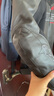 Alpinestars TRACK a星mm93聯(lián)名款騎行皮衣摩托車秋冬保暖機車服摩托服騎行服 黑亮紅 52 曬單實拍圖