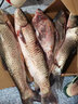 川澤子線雙鉤狼牙魚鉤競(jìng)技黑坑防纏繞魚鉤綁好套裝釣魚鉤成品全套漁具 黑坑狼牙5【鉤10;線1.2-1.5】 20付成品套裝 曬單實(shí)拍圖